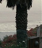 Filename=Mercy-1073.jpg
Filesize=131KiB
Dimensions=1280x537
Date added=Feb 10, 2016 Mercy-1073.jpg