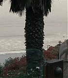 Filename=Mercy-1074.jpg
Filesize=128KiB
Dimensions=1280x537
Date added=Feb 10, 2016 Mercy-1074.jpg