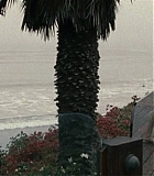 Filename=Mercy-1075.jpg
Filesize=130KiB
Dimensions=1280x537
Date added=Feb 10, 2016 Mercy-1075.jpg