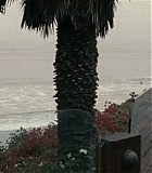 Filename=Mercy-1076.jpg
Filesize=129KiB
Dimensions=1280x537
Date added=Feb 10, 2016 Mercy-1076.jpg