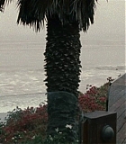 Filename=Mercy-1077.jpg
Filesize=129KiB
Dimensions=1280x537
Date added=Feb 10, 2016 Mercy-1077.jpg