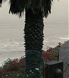 Filename=Mercy-1078.jpg
Filesize=129KiB
Dimensions=1280x537
Date added=Feb 10, 2016 Mercy-1078.jpg