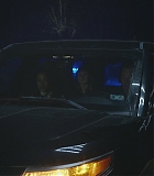 Alert103-0319.jpg