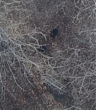 Alert109-0144.jpg