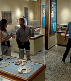 H50S2E2-0131.jpg