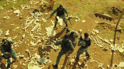 Click to view full size image