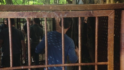 Click to view full size image