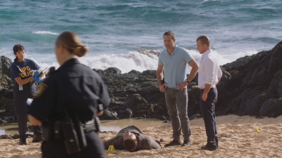 Click to view full size image